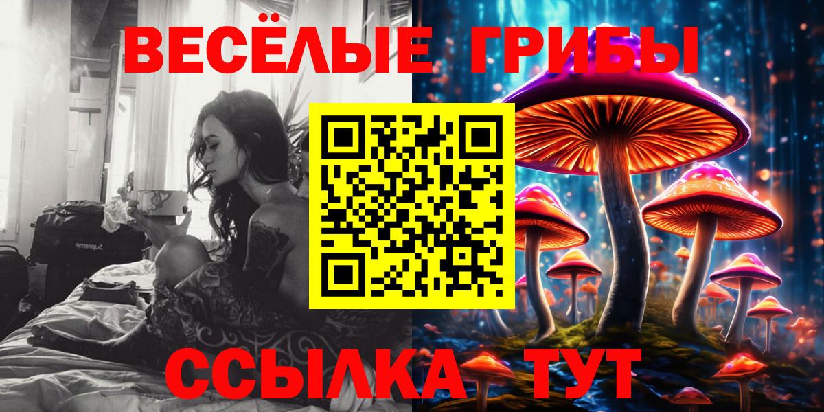 Севастополь  Псилоцибиновые грибы мухоморы  Вход с VPN 